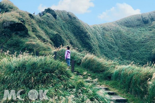 擎天崗、小油坑、冷水坑等陽明山景點，都能賞到美麗的芒草花海(圖／ainsley_wuu)