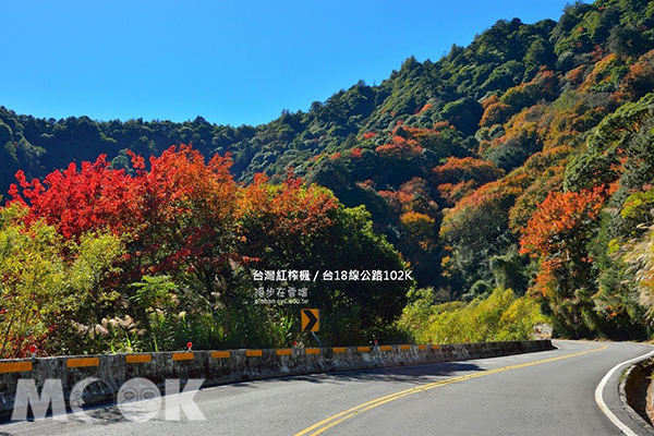 於台18線公路上的楓紅。 (圖／漫步在雲端的阿里山)