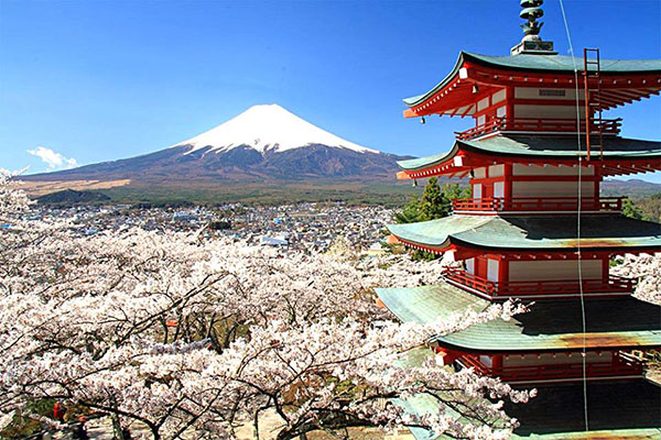 山梨縣富士吉田市的「新倉山淺間公園」可以一眺富士山的美麗景色。(圖／日本觀光局)