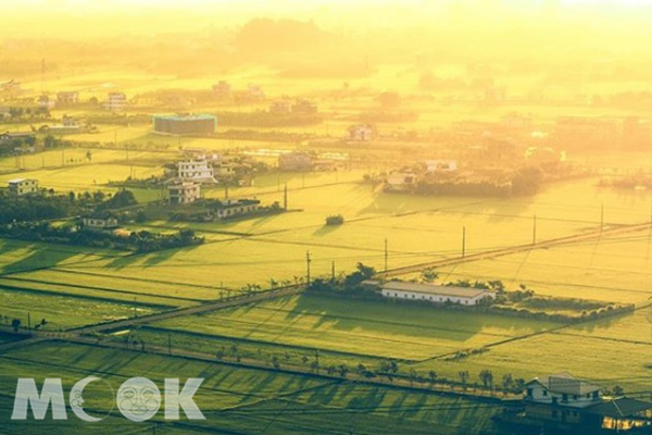 早晨的蘭陽平原，陽光灑在稻田上一片金黃。 (圖／bb211019)