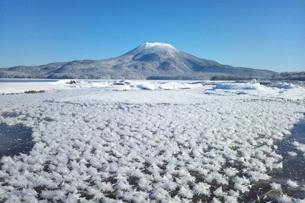 霜花綻放點綴背景雄阿寒岳是季節限定的北海道美景。 (圖／poketabi）