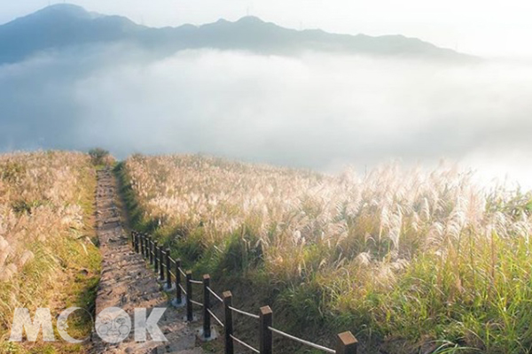 生活不順就去這！台北五大散心景點