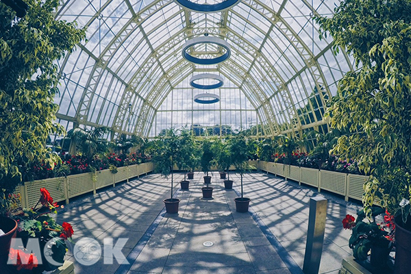 走進世外桃源花草世界！夢幻必訪玻璃屋植物園