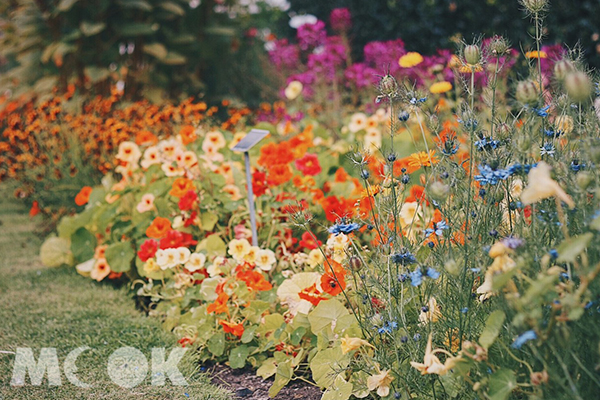 園區內的園藝師傅非常厲害，能在一個區域範圍內種上十幾種花朵。 (圖／MOOK景點家莫菲)