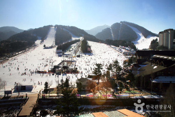 位於韓國白頭大幹間的龍平滑雪度假村。 (圖／龍平滑雪度假村)