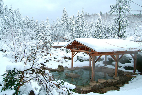 冬季來臨，在寒冷大雪下若能泡在暖心溫泉裡，還欣賞超療癒雪景，幸福指數瞬間滿載，以下嚴選日本十大雪景溫泉，讓旅人們不只享受泡湯，還能欣賞絕美雪景。