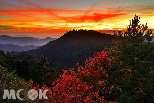 夕落把山脈的輪廓照的銳利，也讓楓葉更顯鮮紅。 (圖／漫步在雲端的阿里山)