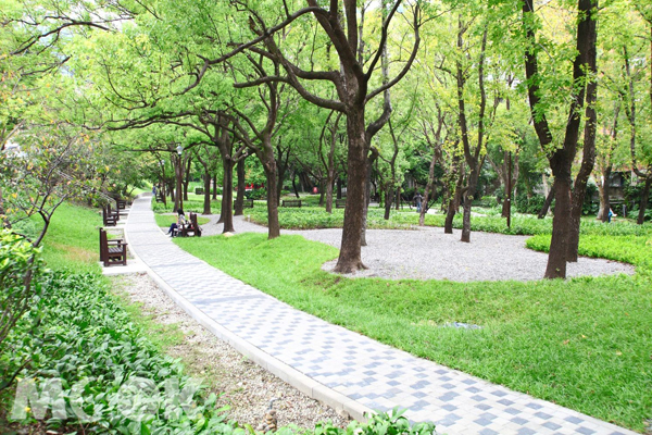 天和公園保存原有自然生態。(圖／台北市政府，以下同)