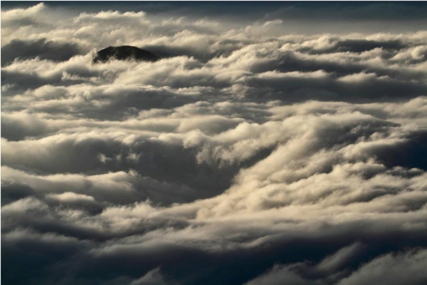 阿里山雲海場面驚人。 （圖／阿里山國家森林遊樂區）