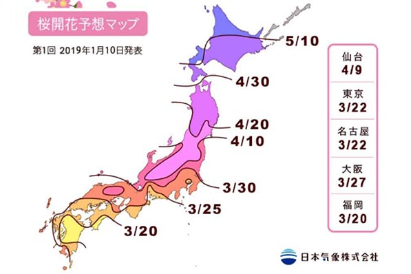 2019日本櫻花前線預測  計畫賞櫻必看