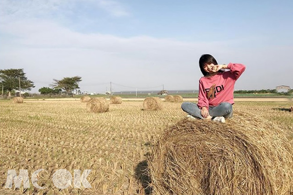 農人收割後的稻草捲，意外成為IG上的熱門打卡景點(圖／lovely_juliayeh)