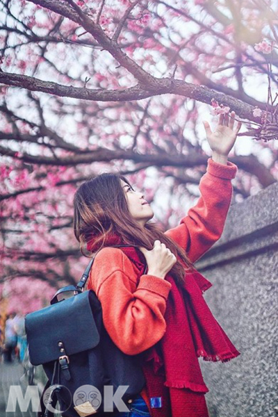 還不趕快帶女友上山拍美照。