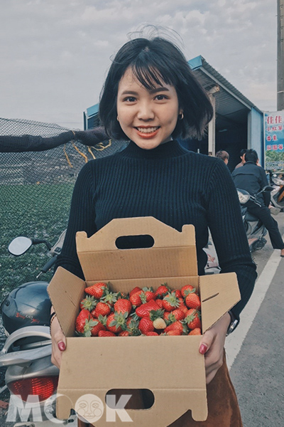 滿滿一箱草莓是辛苦摘採的勝利果實。 (圖／hsiaoooo)