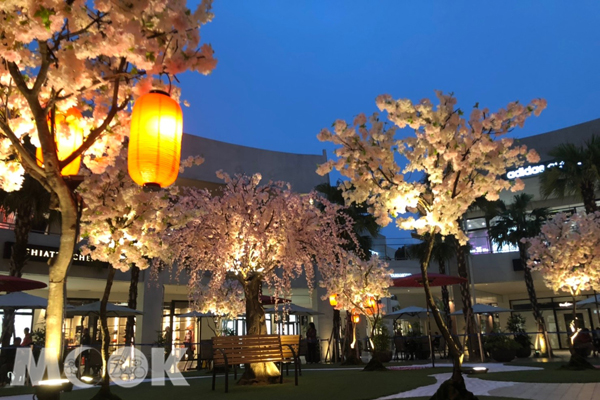 夜賞櫻花（圖／MITSUI OUTLET PARK林口，以下同）