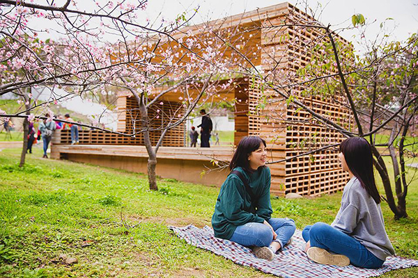 新竹公園櫻花盛開中，在櫻花樹下野餐超浪漫。 (圖／新竹市政府)