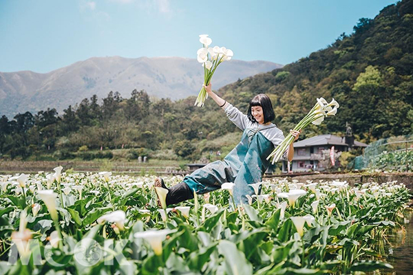 竹子湖是情侶們約會、拍照的好去處。 (圖／stanley_pic)