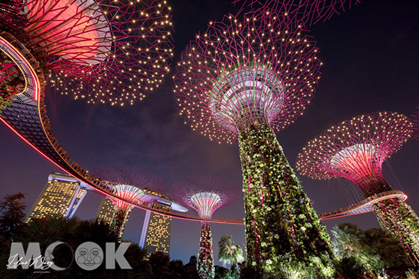 新加坡花園城市的著名地標「天空樹」。（圖／lilianwang_tw）