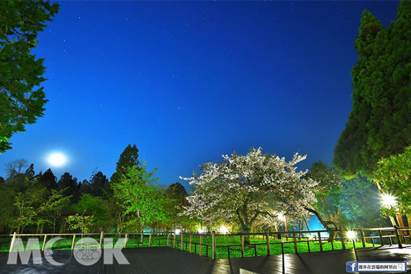 夜晚阿里山上的景色，美不勝收。 (圖／漫步在雲端的阿里山)