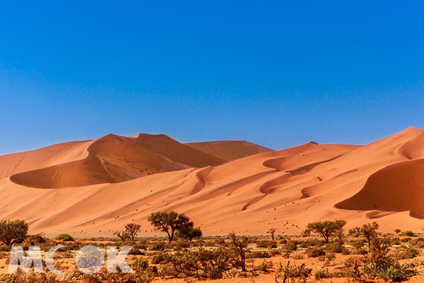 想親眼看看納米比亞那無邊無際的沙漠。