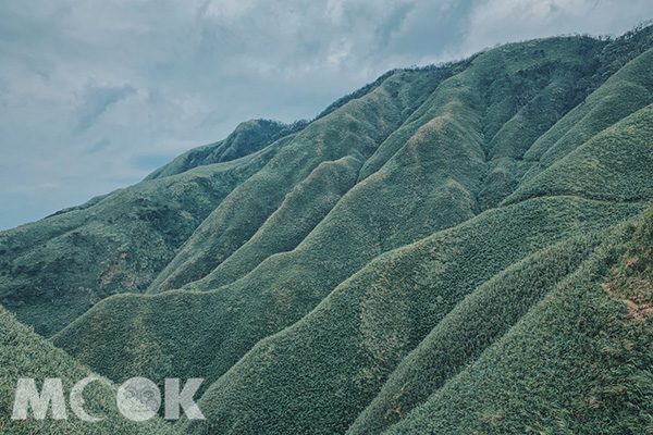 超療癒抹茶山！360度坐擁蘭陽百萬級夜景