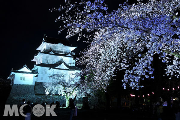 日本百大賞櫻名所小田原城夜櫻美景