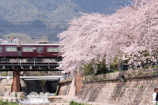 都賀川公園