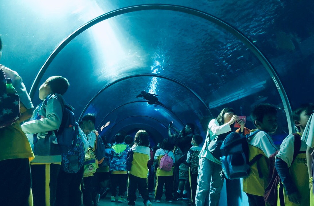 澎湖水族館重新開幕 再顯風華（圖/澎湖水族館，以下同）