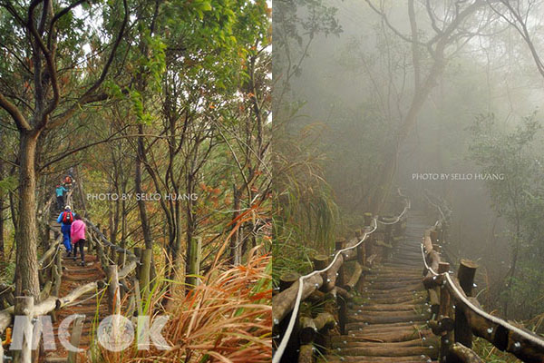 起霧時與沒起霧時的4號步道有不一樣的美感氛圍。(圖片提供／Sello Huang)