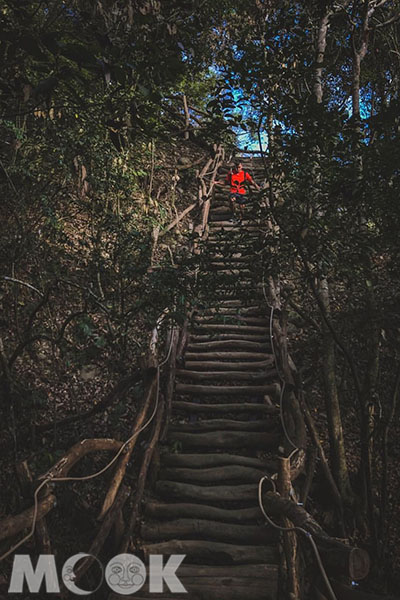 許多挑戰大坑步道的登山客，會將3、4號登山步道一起完成。 (圖片提供／katrina_filmphoto)