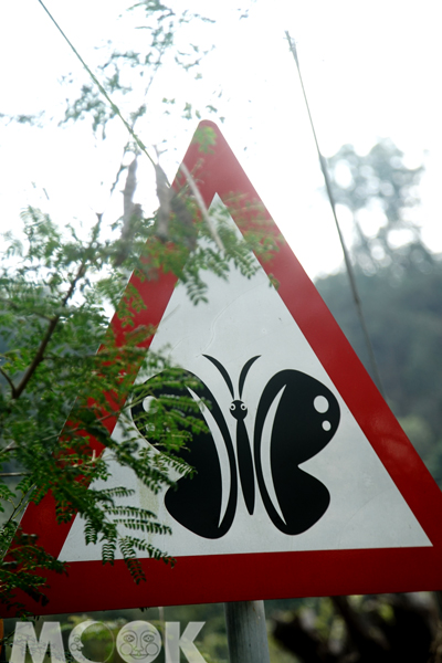 在六龜路上偶爾就會看見「小心蝴蝶」警告標誌。