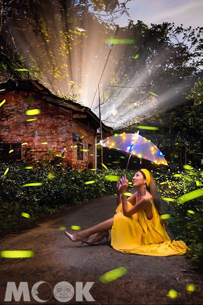 螢火蟲秘境是攝影們春夏必拍的美麗景色。(圖／ooo_lin_ooo)