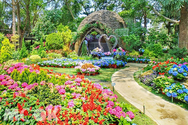 花季來臨的繡球花區，清新氛圍彷彿來到吉卜力電影借物少女艾莉緹的花園。 (圖／tpo5088)