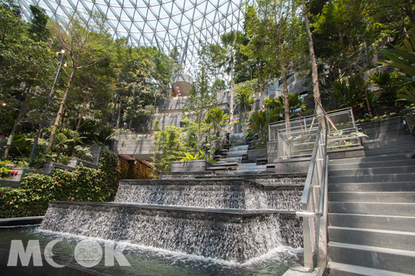 新加坡規模最大的室內植物天堂之一的園林景觀資生堂森林谷