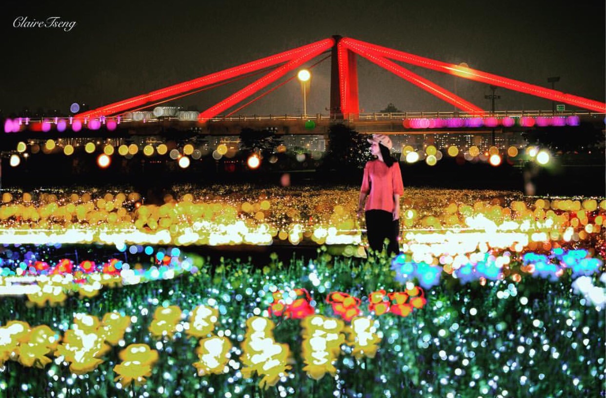 夜間的花海地景變成閃爍燈海，營造出不同於白天的浪漫氛圍。