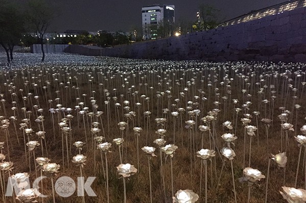 浪漫景點再見！東大門LED玫瑰花海