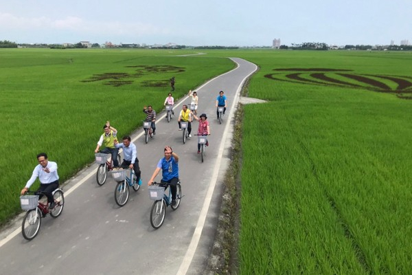 旅人們能騎著單車穿梭在稻浪間。