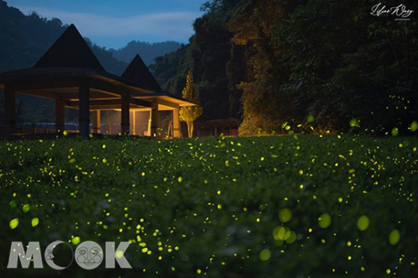 新竹北埔冷泉旁的自然環境優良，每到四月，夜晚的螢火美景超夢幻。 (圖／lilianwang_tw)
