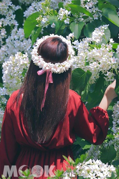 旅人們能利用掉落下來的油桐花綁成可愛的花圈戴在頭上。