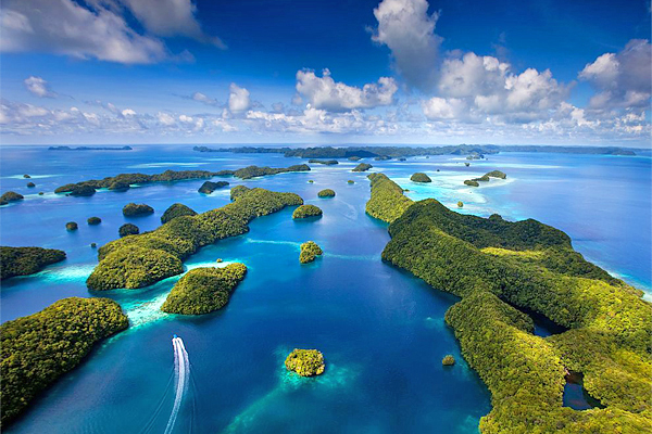 帛琉一直以來非常重視量自然生態的保育。(圖片來源／palaudiveadventures）
