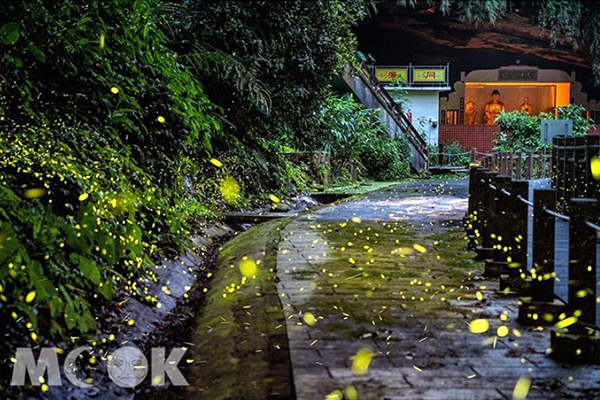 前往梵音寺的路上,螢火蟲放肆飛舞。 (圖/shengkai_travel)