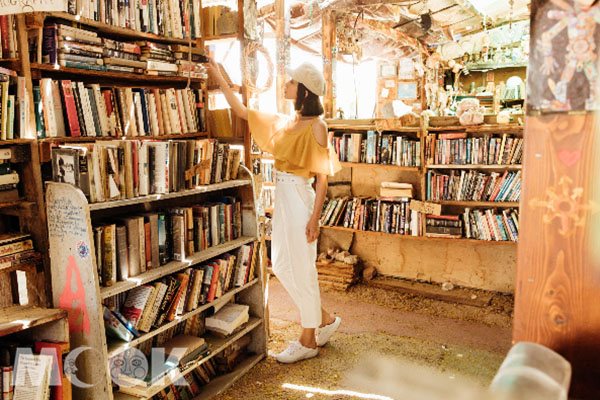 荒漠裡的圖書館，彷彿進入愛麗絲夢遊仙境般。
