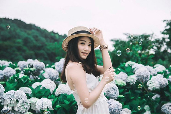 繡球花是每年夏天旅人們IG版面上的必備美照。 (圖／hsin.t_)