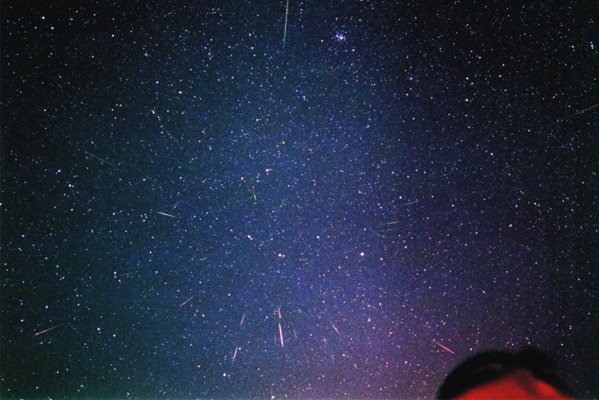 塔塔加的漫天星空。 (圖／中央氣象局)