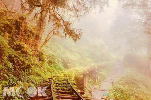 走在見晴懷古步道，享受自然森林景致與人文歷史鐵道的完美融合之中。 (圖／han_03.04)
