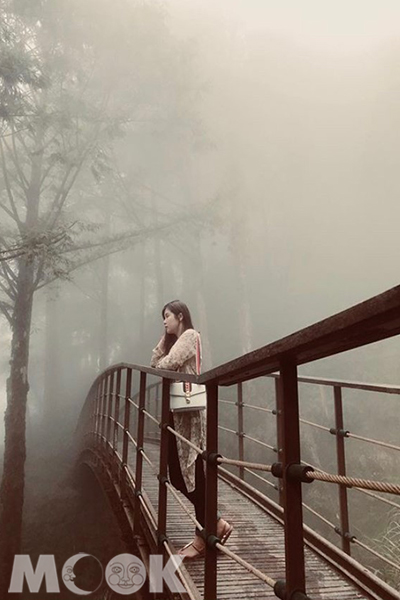 跨越山壑的木橋與山霧瀰漫的森林，好似電影場景。 (圖／han_03.04)