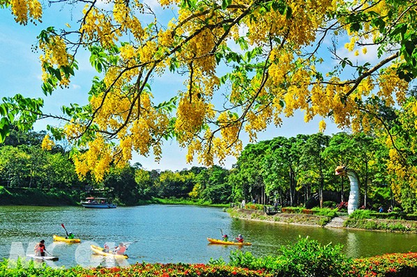 端午連假玩台南！賞花划龍舟音樂祭五大亮點