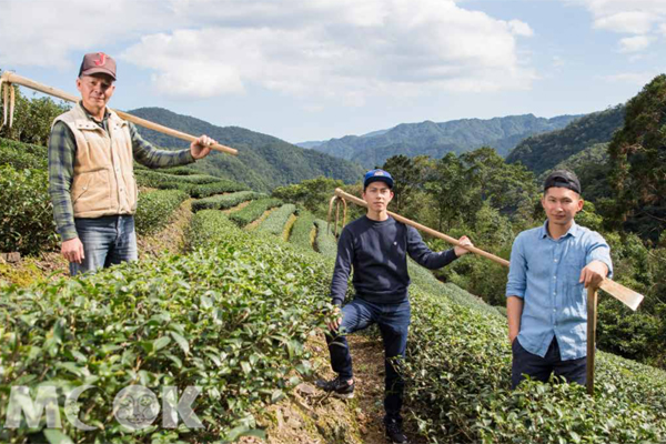 白青長茶作坊。(圖／財團法人台灣文創發展基金會)