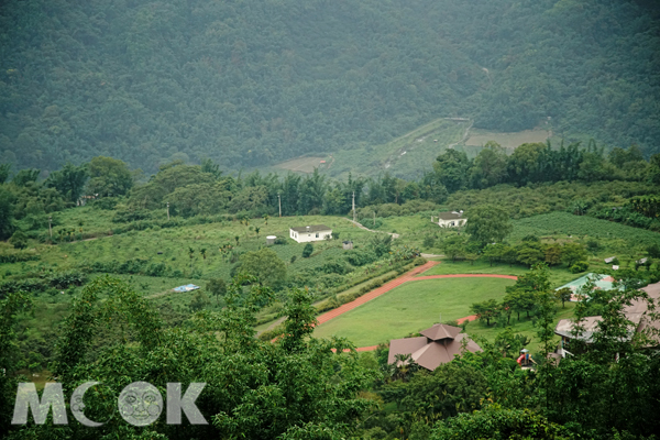 綠意盎然的開闊風景，舒壓又療癒。