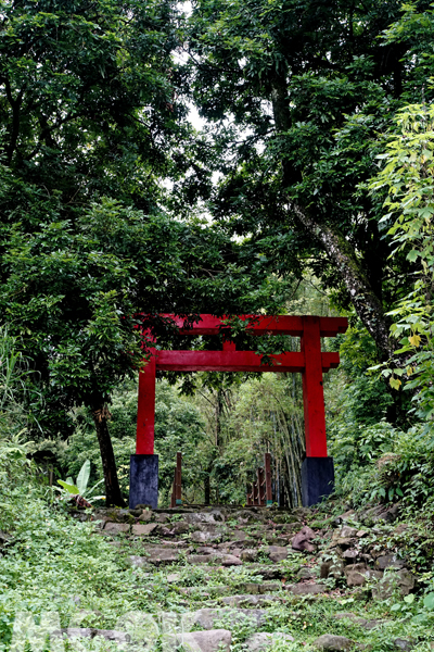 達卡努瓦部落的日本神社特別設置一座紅色鳥居。