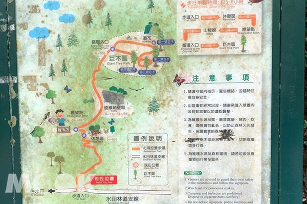 長約2.6公里的山林步道。 (圖／shuyun__12)